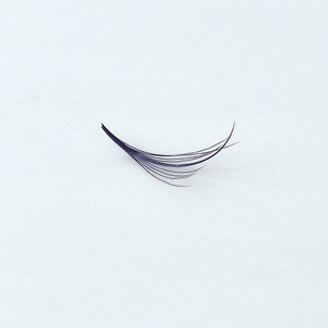 Extensions de cils de niche de beauté moelleuses et douces de haute qualité Nouveau design populaire du Vietnam - Product Image 6