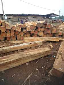 Troncos de madera de teca Laos directos de fábrica Madera aserrada confiable - Product Image 2