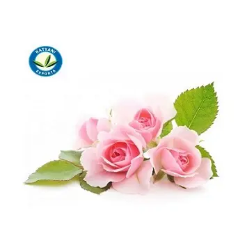 100% ekstrak alami minyak mawar penjualan terlaris grosir minyak esensial mawar organik Tersedia dengan harga rendah