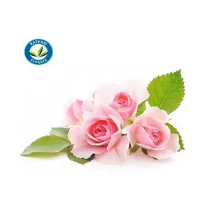 100% Natural Extract Rose Oil Top Selling Wholesaler Organic Rose Essential Oil Available At Low Price