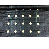 Toile de paillage anti-herbe en tissu tissé HDPE PP pour jardin, ferme et aménagement paysager