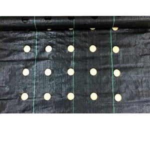 Nhà Máy Sân Vườn Nông Nghiệp Đấm Lỗ Kiểm Soát Cỏ Dại Chống Hàng Rào Cỏ <span class=keywords><strong>HDPE</strong></span> PP Dệt Vải Che Mặt Đất Cảnh Quan Vải Mat - Product Image 5