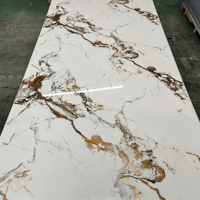 Panneaux en PVC marbré imperméables modernes à haute brillance pour la décoration murale intérieure ; Panneaux imprimés en 3D pour usage domestique et commercial
