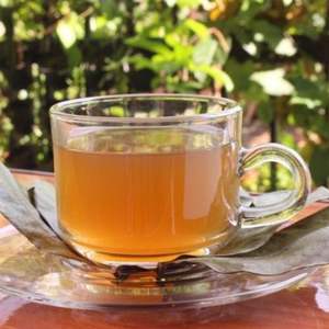 Hojas secas de Guanábana VIETNAM - Product Image 6