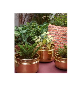 Maceta de Metal Única con Acabado Dorado Pulido, Ecológica y Duradera para Decoración de Jardín y Hogar, Incluye Orificio de Drenaje - Product Image 2