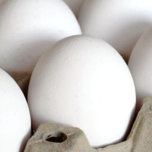 Œufs blancs de qualité d'exportation pour les acheteurs mondiaux - Product Image 6