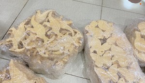 Jouet en bois Real Touch en forme d'animaux fabriqué au Vietnam, vente en gros Montessori pour 2 à 4 ans, stimulant le cerveau des enfants - Product Image 6