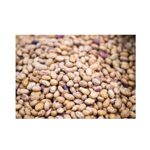 Haricots rouges Pinto en vrac naturels de qualité supérieure à partir de haricots rouges mouchetés rouges séchés pour la nourriture pas cher prix meilleur cool - Product Image 4