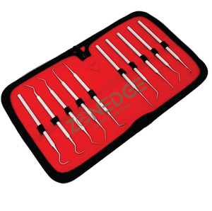 Juego de herramientas de cuidado bucal de alta calidad en estuche de transporte Selecciones de acero inoxidable para sarro, cálculo, equipos dentales CE - Product Image 3