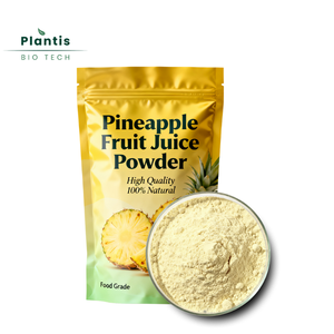 Высококачественный натуральный пищевой органический порошок ананасового сока - Product Image 2