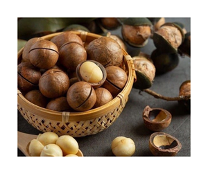 Nueces de Macadamia Tostadas de Vietnam - Nueces de Macadamia Premium para Exportación con Etiqueta Personalizada Según Sus Necesidades para su Venta Minorista - Product Image 3