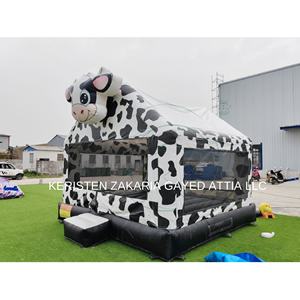 Castillo Inflable Comercial con Tobogán, Azul, PVC, Tres Años de Garantía, Fácil de Instalar, para Fiestas de Niñas - Product Image 2