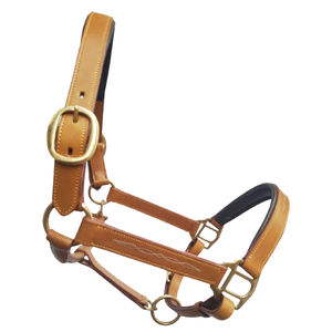 Dernier AL RAHMAN TACKS AL-LH-079 Cheval Halter Équestre Entièrement Confortable Ajustable Pur Cuir Véritable Cheval Formation Halter - Product Image 4