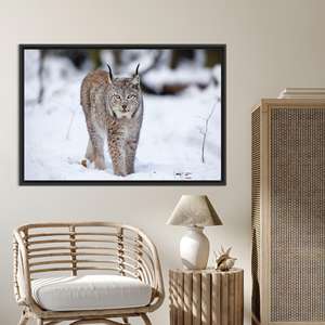 Lynx Cat Tempered Glass Wall Art: Printed Canvas Winter Animal Decor,BLACK <b>FRAMED</b> CANVAS - Product Image 1