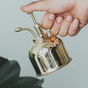 250ml Vintage RVS Plantenspuit |   Metalen sproeier voor binnenplanten en bevochtiging - Product Image 1