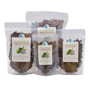 VietNam Meilleure Qualité Graviola Bio Soursop Feuille Tisane 100% Biologique En Gros Sans OGM - Product Image 3