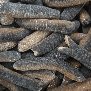 Concombre de mer séché Acheter qualité supérieure livraison rapide super aliment frais et naturel riche en protéines pour la cuisine et le bien-être - Product Image 4