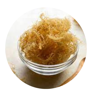 Notre algue marine est récoltée fraîche - 100% algue marine irlandaise du Vietnam / Mme Lima - Product Image 3