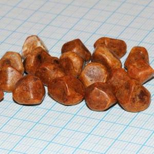 Cálculos Biliares Naturales Puros de Buey/Vaca y Polvo de Cálculos Biliares de Vaca / Cálculos Biliares de Ganado - Product Image 2