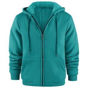 Sweat à capuche zippé à manches longues pour homme, style streetwear décontracté, grammage lourd, automne, imprimé brodé et gaufré, uni teint, avec logo personnalisé - Product Image 1