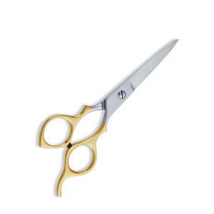 Ciseaux de coiffeur à manche doré Ciseaux de salon en acier inoxydable à lame droite et tranchante avec repose-doigt fixe - Product Image 2