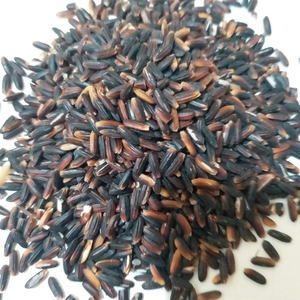 Fournisseur de riz noir biologique de haute qualité, vente en gros, riz interdit, céréale saine riche en fibres, export, prix compétitif - Product Image 4