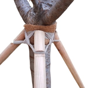 El papel protector de la cinta de fibra de coco para plantas en invierno CINTA COIR DE COCO hecha de fibra de coco 100% - Product Image 1