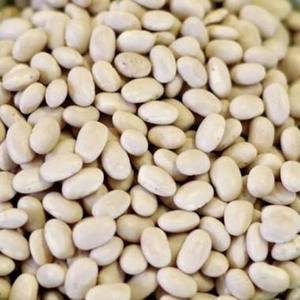 Dried Raw White Granule Lima Bean ISO9001 Certified 25kg Pack <b>For</b> <b>Sale</b> - Product Image 1