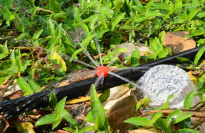 Gocciolatore Regolabile in Plastica a 8 Fori di Alta Qualità per Sistema di Irrigazione a Goccia da Giardino - Product Image 5