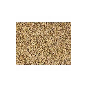 Graines de guar disponibles en vrac pour l'exportation vers les marchés industriels et alimentaires - Product Image 1