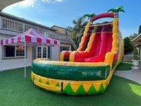 Toboggan aquatique gonflable Tropical Fiesta à double piste de 22 pieds avec certification CE, garantie de 3 ans, capacité de 500 personnes