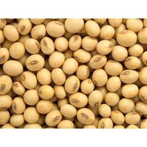 Grano de soja de origen brasileño de alta calidad/semillas de soja/soja para exportación de soja - Product Image 3