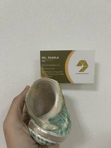 เปลือกหอยที่มีเอกลักษณ์เฉพาะตัวสำหรับปาร์ตี้ในธีมเขตร้อนของตกแต่งบ้านและเปลือกหอยที่สะอาดสำหรับเพาะเลี้ยงสัตว์น้ำขายส่ง - Product Image 3