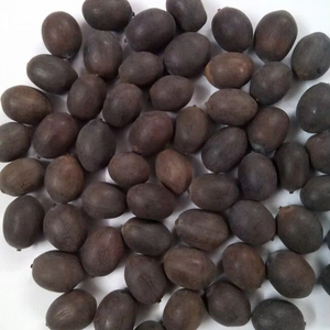 เมล็ดบัวดำแห้งคุณภาพเยี่ยม ผู้จัดจำหน่ายจากเวียดนาม ขายส่ง ปริมาณมาก รับประกัน - Product Image 5