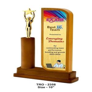 Fourniture directe d'usine Trophée Globe élégant de travail d'équipe pour la performance dans des événements d'entreprise ou d'organisation disponibles à la vente - Product Image 2