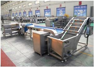 Nouvelle ligne de production de frites semi-automatique de petite capacité pour aliments surgelés - Product Image 6