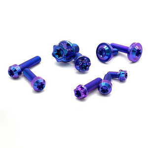 Tornillo de Titanio Ligero y Duradero Personalizado para Reparación de Correas y Cadenas de Relojes - Product Image 1