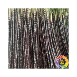 Palitos de caña de azúcar congelados envasados al vacío con dulce sabor natural, ideales para bebidas, batidos y uso diario - Product Image 3