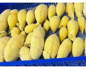 Durian congelado IQF embalado en cajas de cartón y bolsas Durian congelado IQF de Vietnam entregado a clientes internacionales - Product Image 5