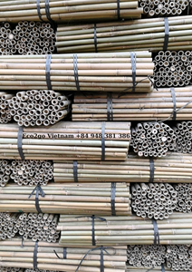 Venta al por mayor estacas de bambú seco natural para soportes de plantas/bastones de bambú para decoración de guardería de jardín de Vietnam - Product Image 3