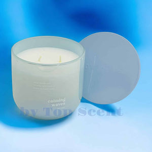 <b>Soy</b> <b>Wax</b> Aromatherapy 'Calming Waves' Relaxing Scents to Soothe Your Senses - Product Image 1