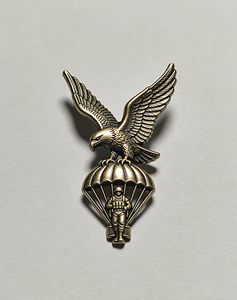 Insignia de Paracaidista de Bronce Vintage con Diseño de Águila |   Pin de Solapa Táctico de Metal Personalizado para Coleccionistas y Uniformes |   Broche de recuerdo de alto detalle - Product Image 6