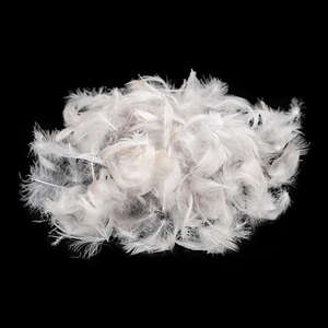 Plumas de Pato Teñidas de Calidad de Exportación B2B para Textiles del Hogar, Prendas de Vestir e Industrias de Juguetes - Product Image 6
