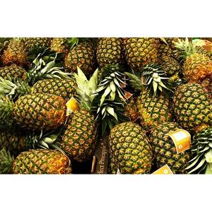 Piñas Frescas de Origen Británico Exportadas en 2025, Productos Frutales Dulces con Temperatura de Almacenamiento de 10-13 °C para Venta Agrícola - Product Image 2