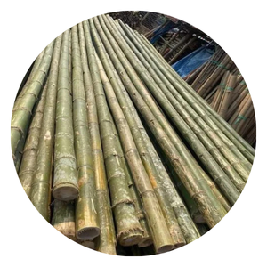 สด, ไม้ไผ่ลำต้นที่เป็นธรรมชาติที่มีอยู่ในปริมาณมากจากธรรมชาติอย่างยั่งยืน - Product Image 1