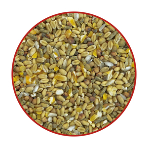 Mezcla de piensos de primera calidad de fabricación española para pollos, pavo y aves de corral-20KG AVES DE CORRAL - Product Image 1