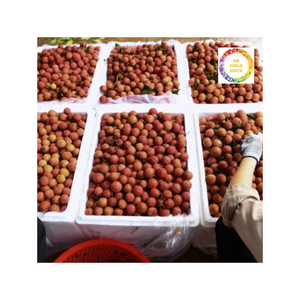 Litchi congelé de qualité supérieure du Vietnam 100 pour cent de saveur sucrée naturelle emballée sous vide et prête pour l'exportation - Product Image 3