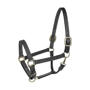 Djustable ororse alter questrian ririple-cosido alter quququestrian ORSE alter para intellale intelligengent - Product Image 1