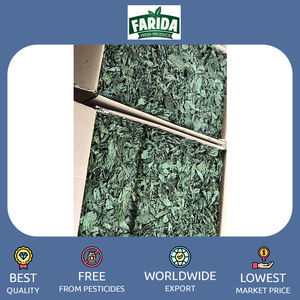 Hojas de Molokhia/enteras/trituradas/en polvo a precio a granel, especias y hierbas individuales superventas de exportación de origen egipcio de calidad estándar - Product Image 3