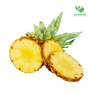 Piña congelada IQF orgánica certificada ISO de Vietnam, conservada en agua envasada a granel - Product Image 3